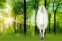 Paulmann LED-Leuchtmittel Eco-Line Kerze 4W 840lm Warmweiß E14 Bild 1