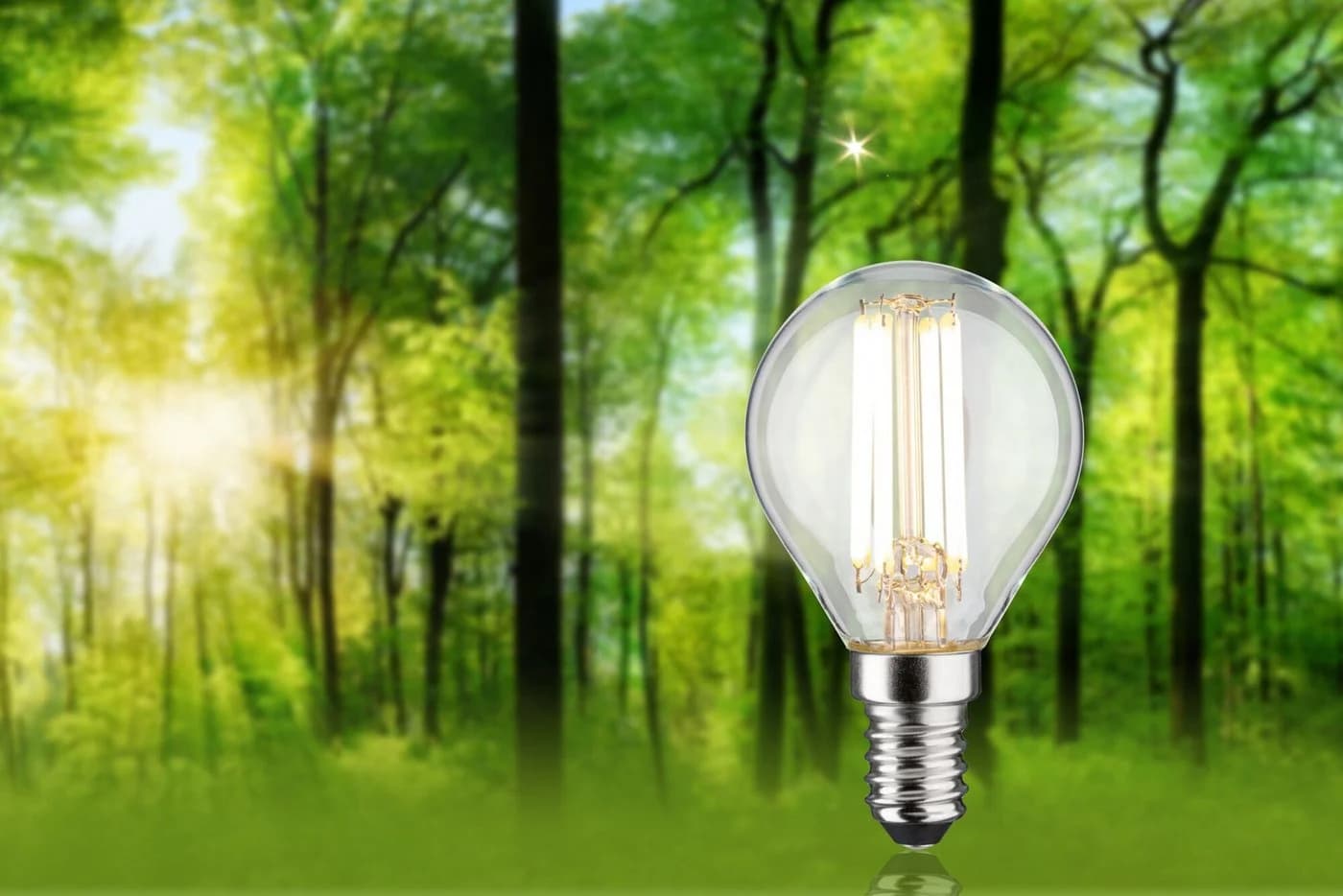 Paulmann LED-Leuchtmittel Eco-Line Tropfen 4W 840lm Warmweiß E14