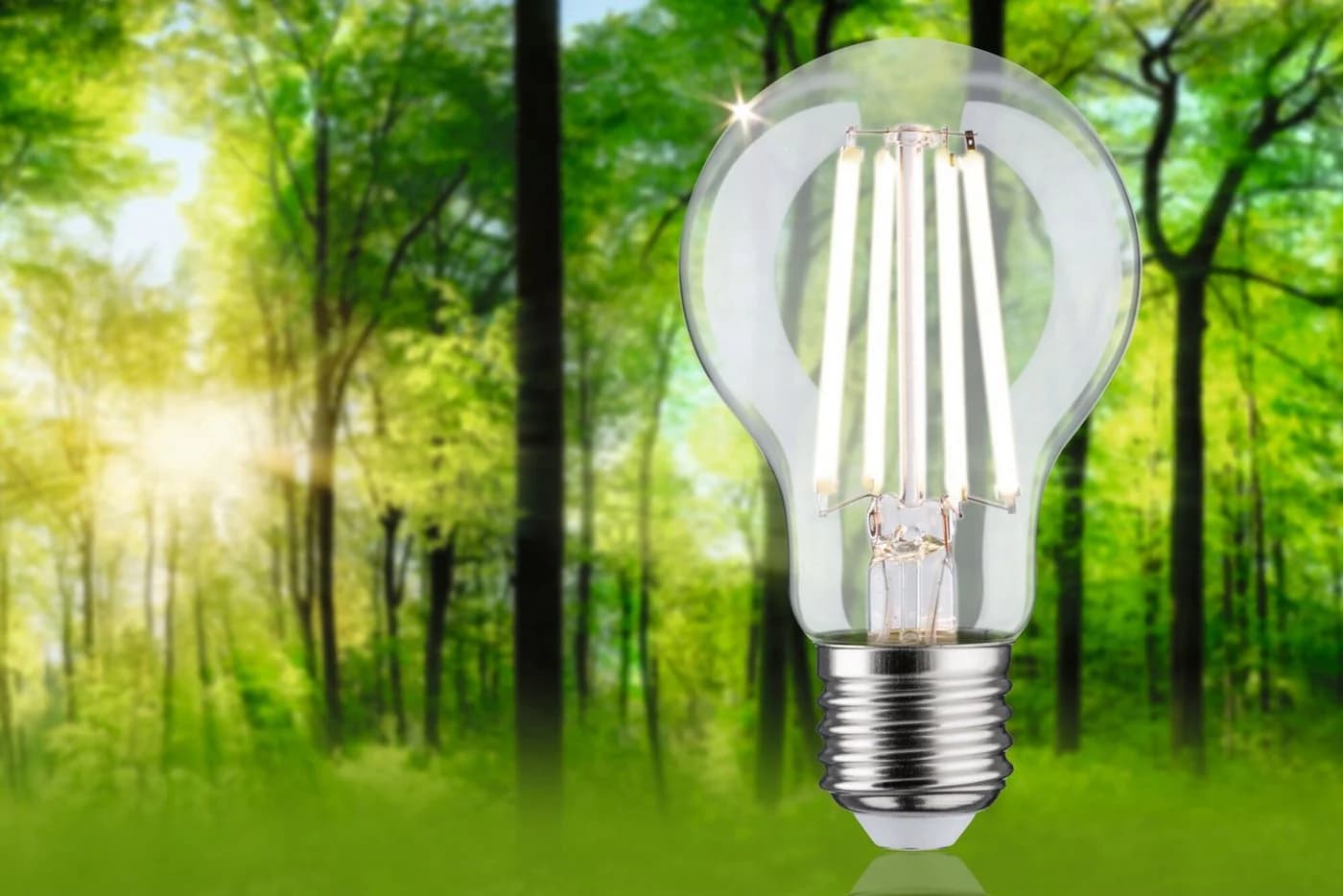Paulmann LED-Leuchtmittel Eco-Line 840lm 4,5W 4000K dim klar 230V, E27, 1 St., Neutralweiß - Bild 4