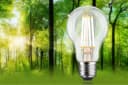 Paulmann LED-Leuchtmittel Eco-Line Filament E27 4,3W 3000K Warmweiß Dimmbar Bild 1