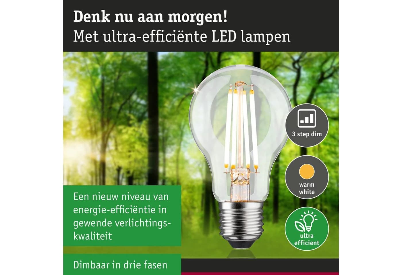 Paulmann LED-Leuchtmittel Eco-Line Filament E27 4,3W 3000K Warmweiß Dimmbar - Bild 3