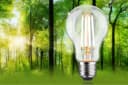 Paulmann LED-Leuchtmittel Eco-Line Filament E27 8,2W 3000K dimmbar transparent Bild 1