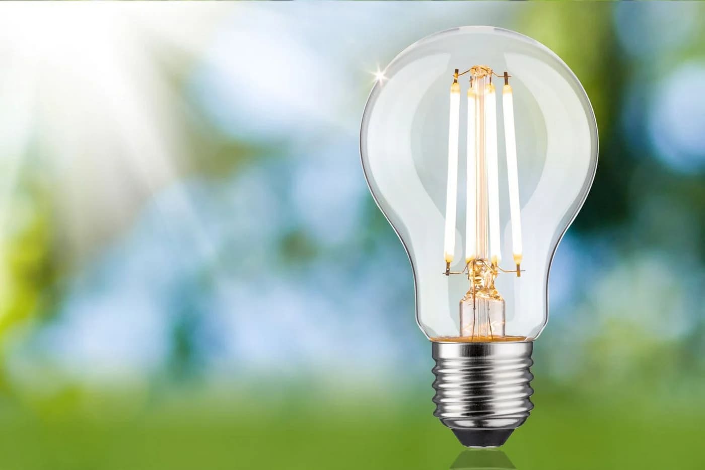 Paulmann LED-Leuchtmittel Eco-Line Filament E27 8,2W 3000K dimmbar transparent - Bild 3