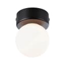 Paulmann Deckenleuchte Selection Bathroom Gove IP44 Satin Glas Metall Bild 3