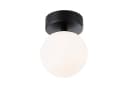 PAULMANN LED Deckenleuchte Selection Bathroom Gove IP44 Schwarz/Weiß Bild 2