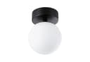 PAULMANN LED Deckenleuchte Selection Bathroom Gove IP44 Schwarz/Weiß Bild 3