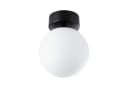 Paulmann LED Deckenleuchte Selection Bathroom Gove IP44 Schwarz Weiß Bild 2