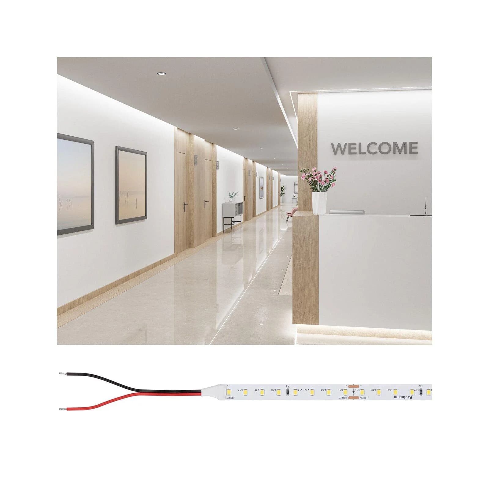 PAULMANN LED-Streifen Pro Strip Gold P75 10m Weiß