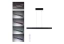 PAULMANN LED Pendelleuchte Raiko RGBW+ Schwarz Dimmbar Bild 2