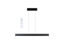 PAULMANN LED Pendelleuchte Raiko RGBW+ Schwarz Dimmbar Bild 3