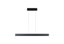 PAULMANN LED Pendelleuchte Raiko RGBW+ Schwarz Dimmbar Bild 4