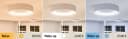 PAULMANN LED Deckenleuchte Selection Bathroom Casca Weiß IP44 Bild 3