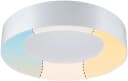PAULMANN LED Deckenleuchte Selection Bathroom Casca Weiß IP44 Bild 5