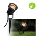 Paulmann LED Gartenstrahler IP65 rund 92mm 2200K 4,3W 320lm 230V 38-38° Schwarz Metall Goldlicht Bild 2