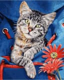 Schipper Malen nach Zahlen Katze im Rucksack Meisterklasse Bild 1