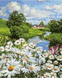 Schipper Malen nach Zahlen Meisterklasse Klassiker Margeritenwiese Bild 1