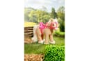 Zapf Creation® BABY born Mein Pferd Cutie Bild 3