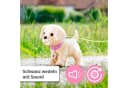 BABY Born Plüschfigur Mein Hund Lucky mit Box - Interaktiver Spielhund Bild 5