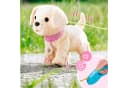 Baby Born Plüschhund Lucky mit Funktion & Trinkschale Bild 3