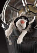 Sigikid Kuscheltier Lost and Found BeastsTown Schwarz Bild 1