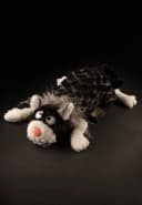 Sigikid Kuscheltier Lost and Found BeastsTown Schwarz Bild 4