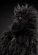 Sigikid Kuscheltier Gi Gi Gorilla XXL Schwarz BeastsTown Bild 1