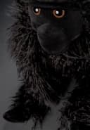 Sigikid Kuscheltier Gi Gi Gorilla XXL Schwarz BeastsTown Bild 3