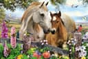 Schmidt Spiele Puzzle 150 Teile Stute und Fohlen Bild 1