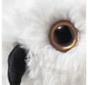 Steiff Kuscheltier Harry Potter Eule Hedwig 21cm Weiß Bild 4