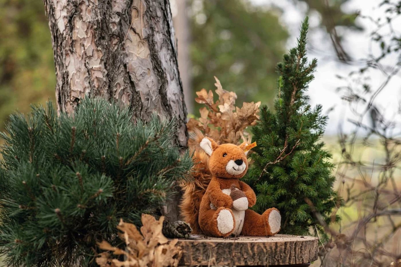 Steiff Kuscheltier Soft Cuddly Friends Eichhörnchen Phil Hellbraun 20 cm - Bild 3