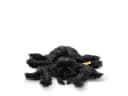 Steiff Kuscheltier Stofftier Spinne Cobweb 14cm Bild 4