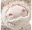 Steiff Hochlandkuh Harper Plüschkuscheltier Beige 24 cm Bild 4