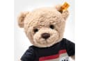 Steiff Teddybär Ben DFB Fußball 30 cm Bild 3