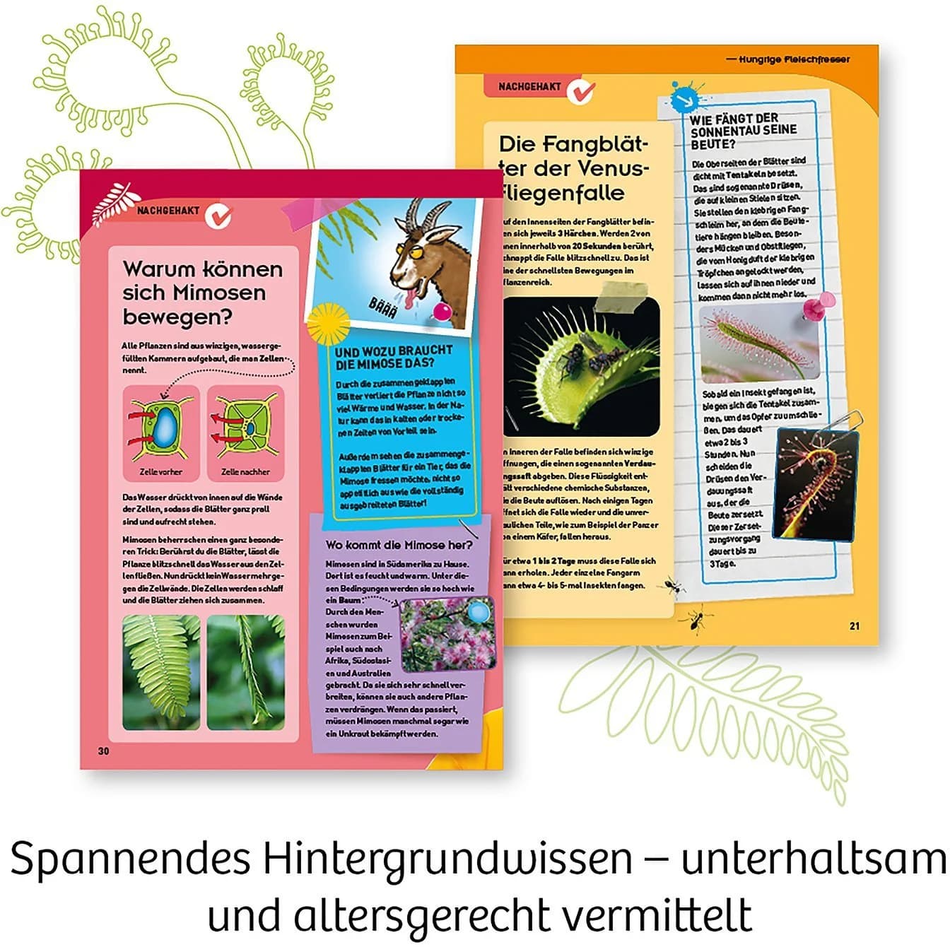 Kosmos Experimentierkasten Fleischfressende Pflanzen Made in Germany - Bild 5
