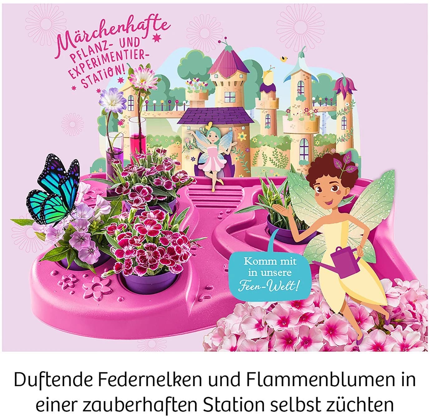 KOSMOS Feen-Garten Experimentierkasten - Züchte zauberhaftes Blütenmeer - Bild 5