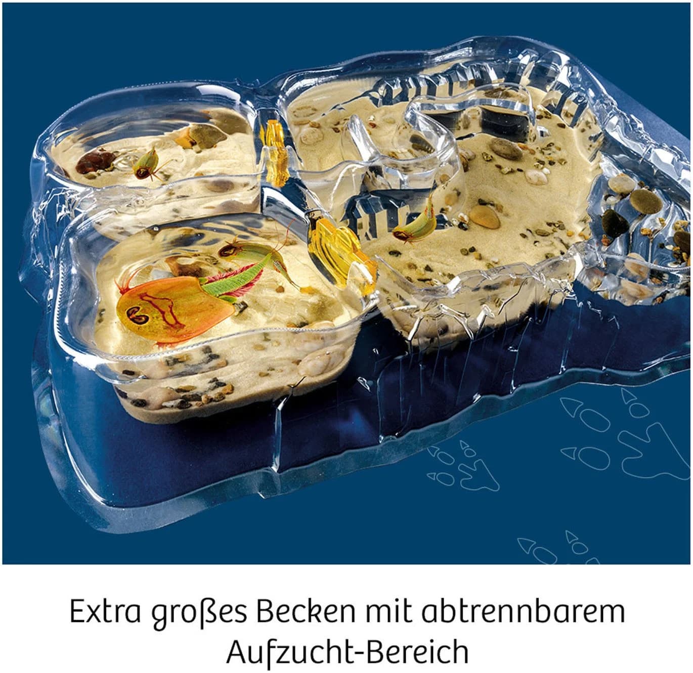Kosmos Experimentierkasten Triops-Welt Made in Germany - Bild 3