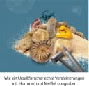 Kosmos Experimentierkasten Fossilien - Echte Fossilien ausgraben Bild 1