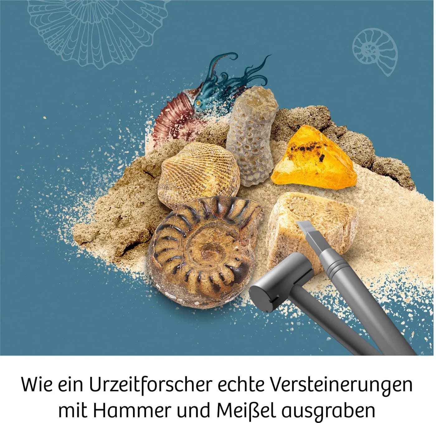 Kosmos Experimentierkasten Fossilien - Echte Fossilien ausgraben