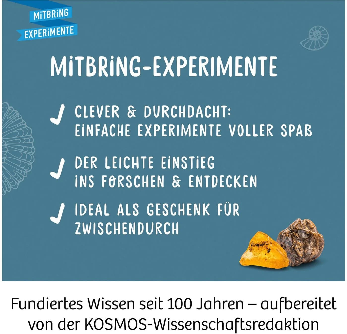 Kosmos Experimentierkasten Fossilien - Echte Fossilien ausgraben - Bild 5