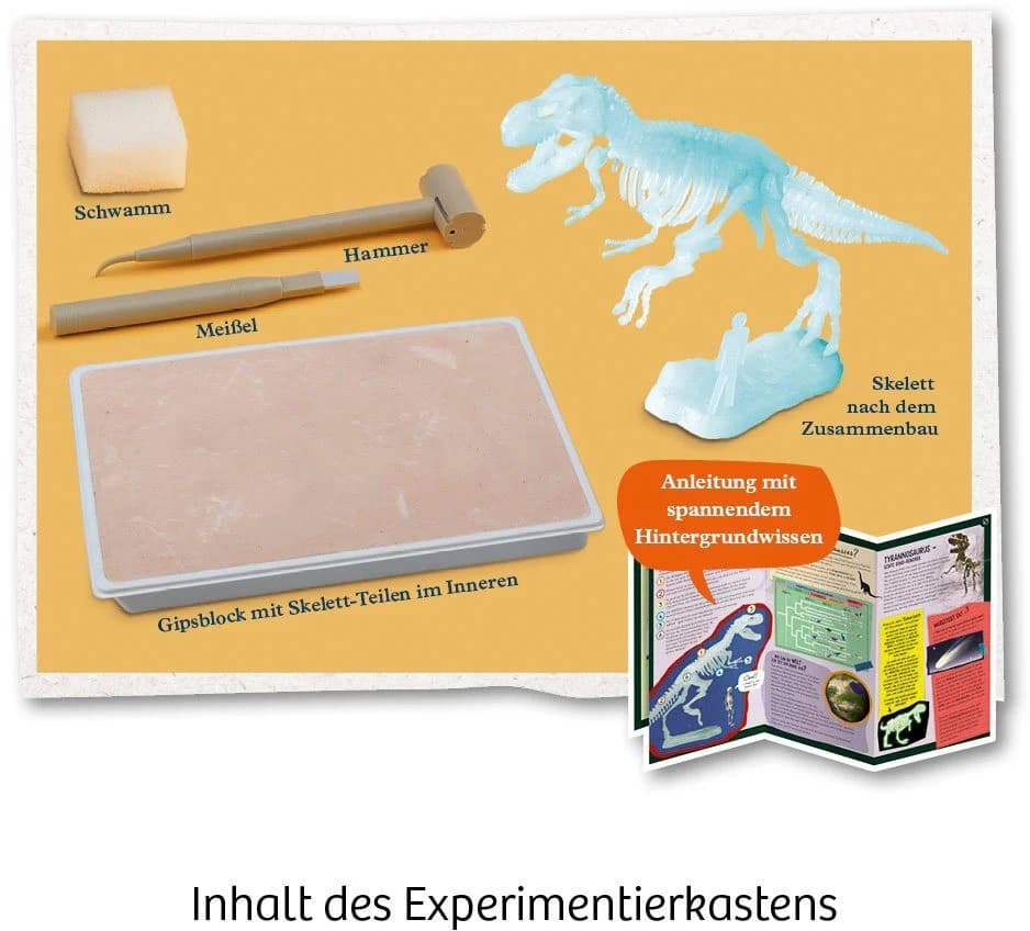 Kosmos Experimentierkasten Nachtleuchtender T-Rex Dinosaurier - Bild 3