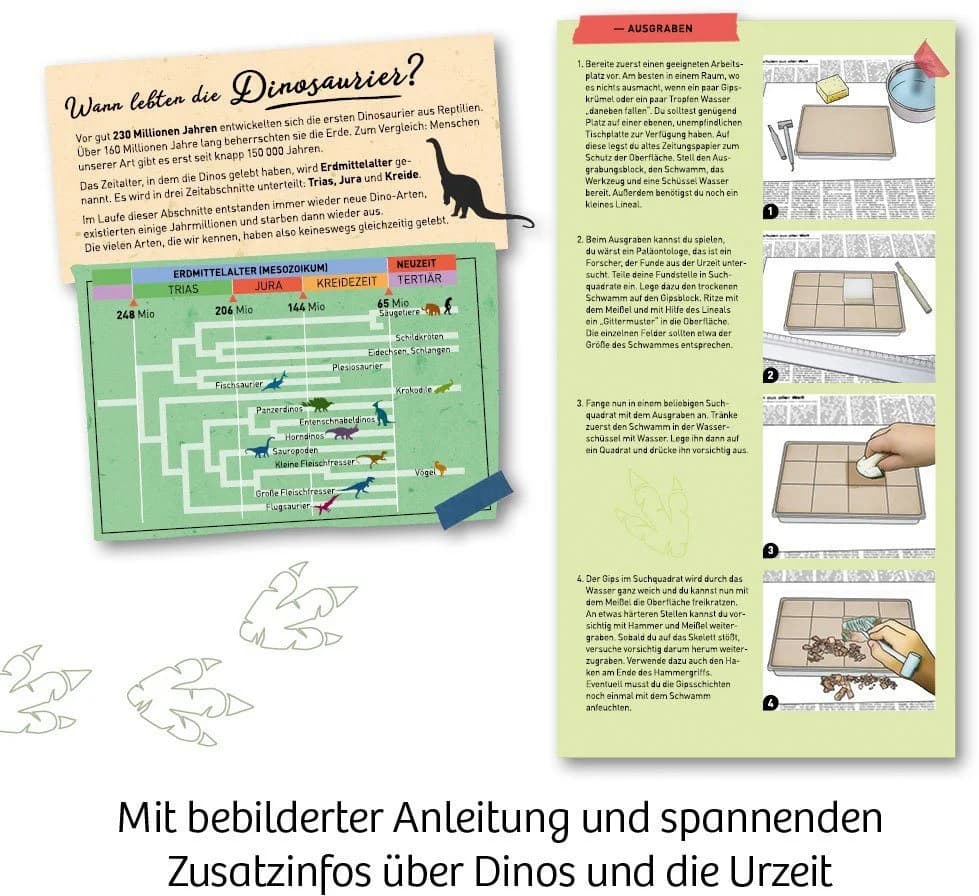 Kosmos Experimentierkasten Nachtleuchtender T-Rex Dinosaurier - Bild 4