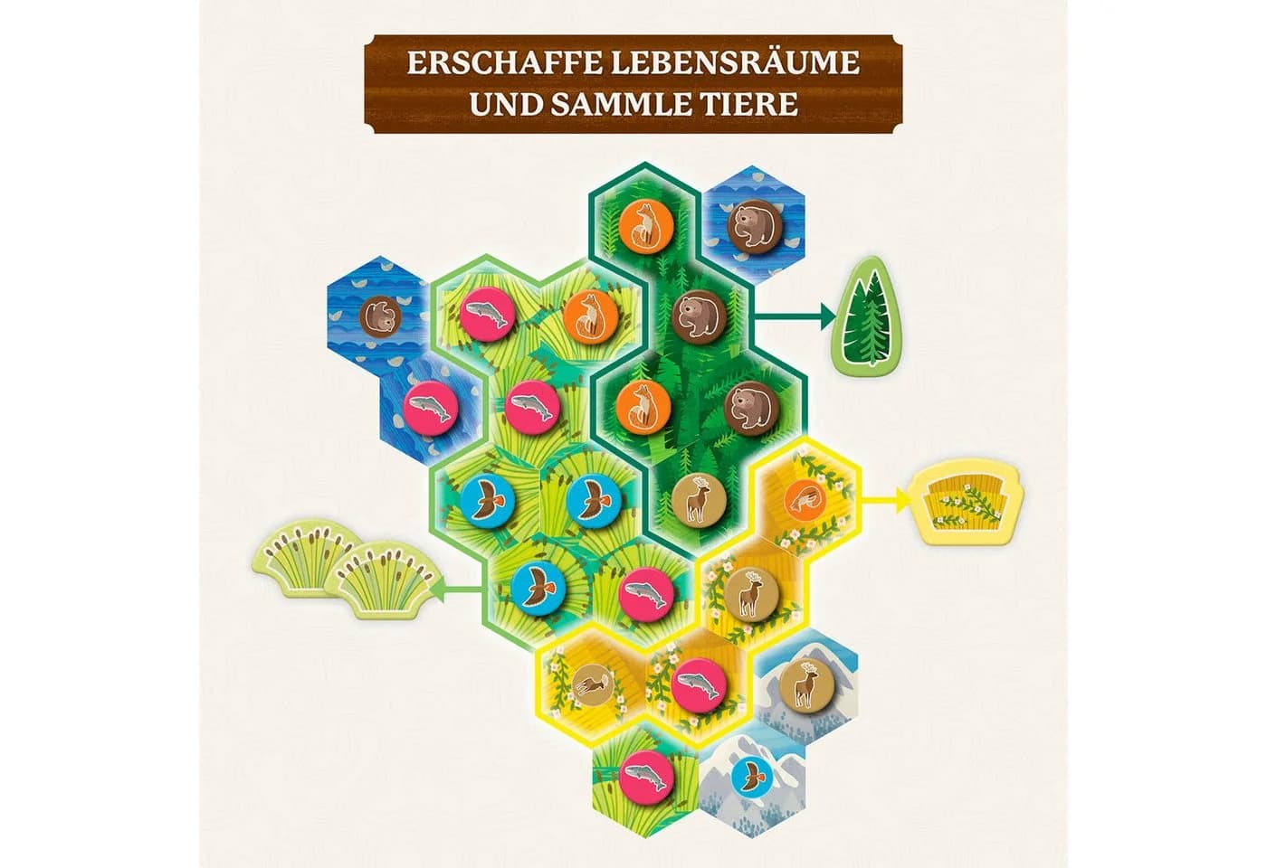 KOSMOS Cascadia Junior Legespiel Bunt - Spiel des Jahres 2022 - Bild 4