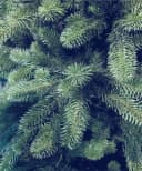 Xenotec Premium Weihnachtsbaum Nordmanntanne Spritzguss Bild 1