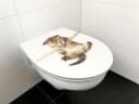 ADOB WC-Sitz Cat mit Absenkautomatik und Duroplast Bild 1