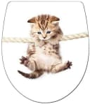 ADOB WC-Sitz Cat mit Absenkautomatik und Duroplast Bild 2