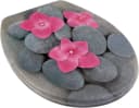welltime WC-Sitz Classic Decor Pink Blossom mit Absenkautomatik Bild 2