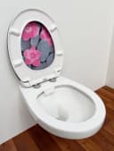 welltime WC-Sitz Classic Decor Pink Blossom mit Absenkautomatik Bild 5