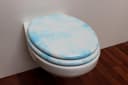 WC-Sitz ADOB Marmor Blau Oval mit Edelstahlscharnieren Bild 3