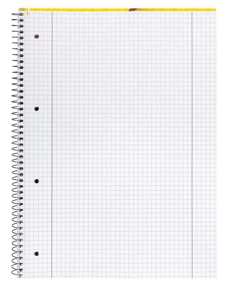 Idena Collegeblock Lineatur 28 kariert mit Doppelrand 80 Blatt 70g/m2 DIN A4