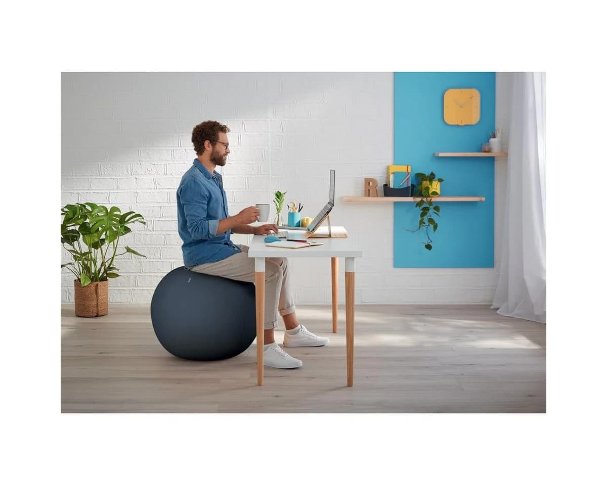 LEITZ Sitzball Ergo Cosy Grau Ø 65 cm - Bild 3